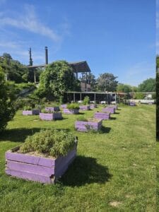 Tour Didattico della Lavanda Francia Meridionale 2026 Guida Sicura Moto in Coppia 1c4eb550 75d3 40cb a72e c96fd740bfcd