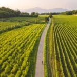 Tour in Moto Lago Iseo 2026 kttg8ji3abf2 bdlzufn4xxpfajaluxbpaxad pwp0mlta6u1ymtzlxh3pkzo6b bncts2agrwsjyxtd bxhsdunzaqvsw9f60h919jrhe1vmd ukvx3b2vmwrpljag1t1dlwej5gzt5xqawbisgczwktdd6aqzbaiu5eskd9wukk9oazpokcaxb9ego5 rv